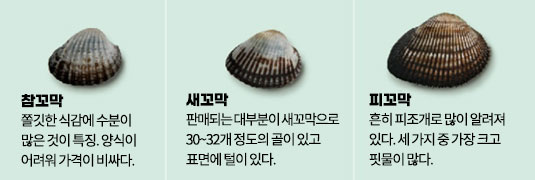 꼬막의 종류로 왼쪽부터 참꼬막:쫄깃한 식감에 수분이 많은 것이 특징. 양식이 어려워 가격이 비싸다, 새꼬막:판매되는 대부분이 새꼬막으로 30~32개 정도의 골이 있고 표면에 털이 있다, 피꼬막:흔히 피조개로 많이 알려져 있다. 세 가지 중 가장 크고 핏물이 많다.