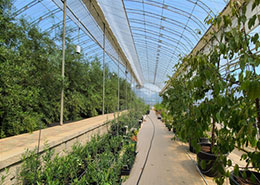 새기술실증시험포