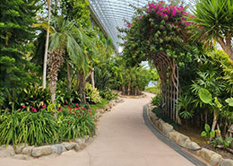 아열대과수식물원