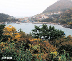 임포마을