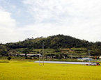 멀리서 바라본 선원동 산성 모습