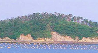 대섬 백로 도래지