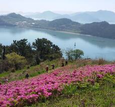 상화도 꽃섬길