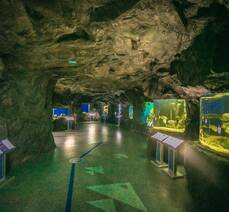 여수해양수산과학관