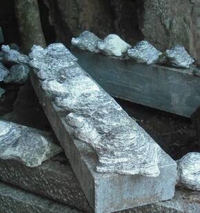 여수 향일함에서 찍은 거북이상들..