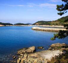 소선우방풍꽃게장