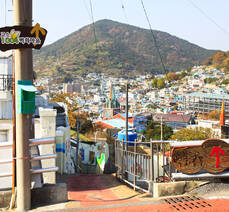 봉산동 갯마을 장어탕