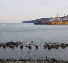 걷기여행하기 좋은 여수