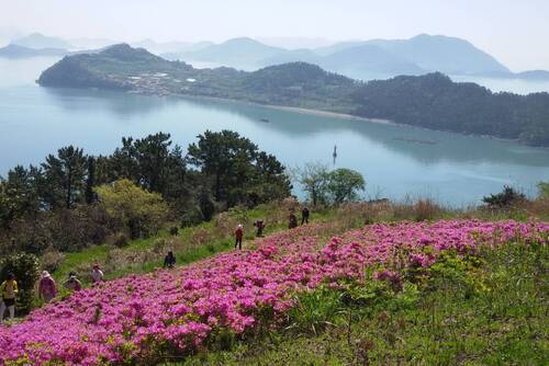 상화도
