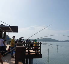 2019 여자만갯벌노을체험행사 대나무낚시