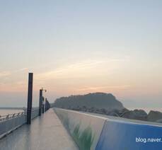 여수의 아침바다 오동도에서 일출감상 / 낭만 밤바다 밤하늘을 수놓은 여수엑스포 빅오쇼