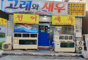 고래와 새우