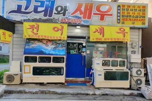 고래와 새우