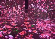 여수 아이뮤지엄