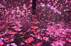 여수 아이뮤지엄