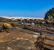 경원이네(해물삼합전문점)