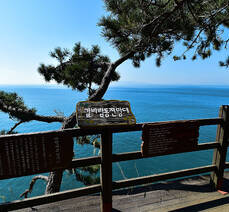 금오도 비렁길 3코스