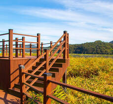 가사리 생태공원