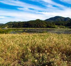 가사리 생태공원