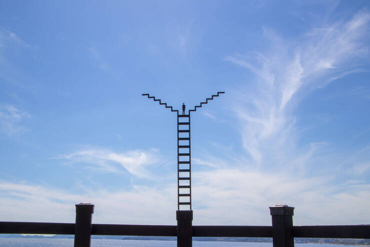 장도