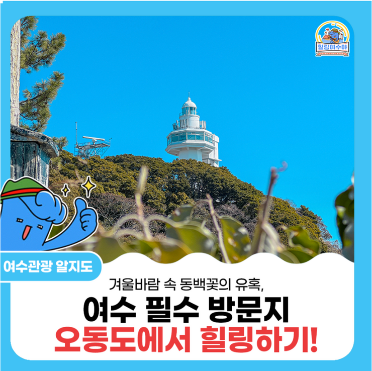 [겨울 동백꽃 명소] 겨울바람 속 동백꽃의 유혹, 오동도에서 힐링하기!