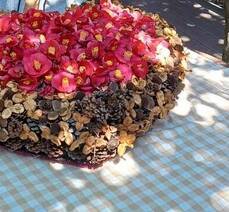 오동도에 동백꽃이 없다??