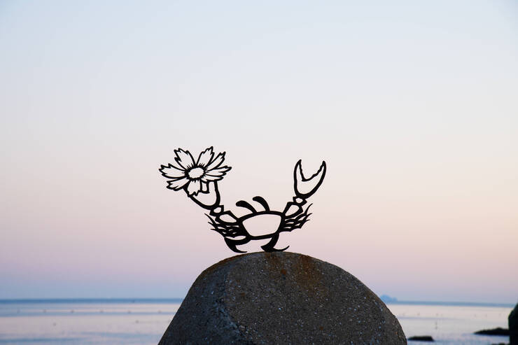 DSD_5305 복사.jpg