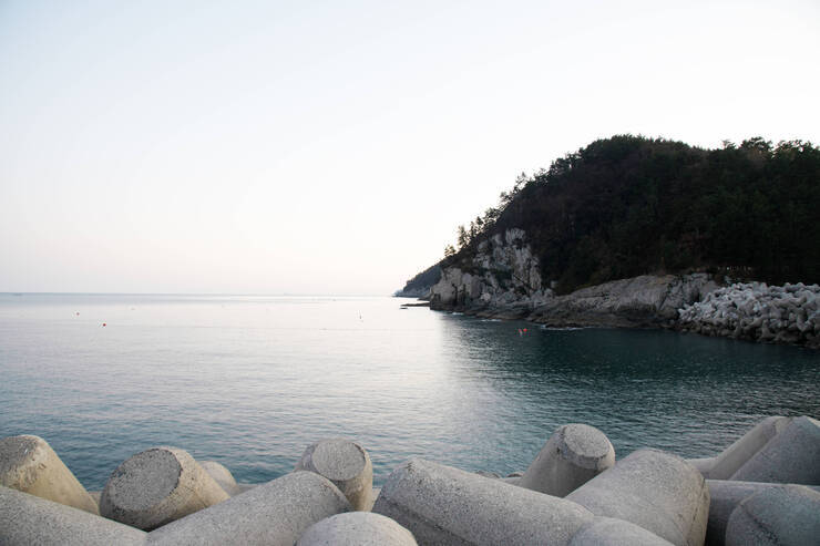 DSD_5316 복사.jpg