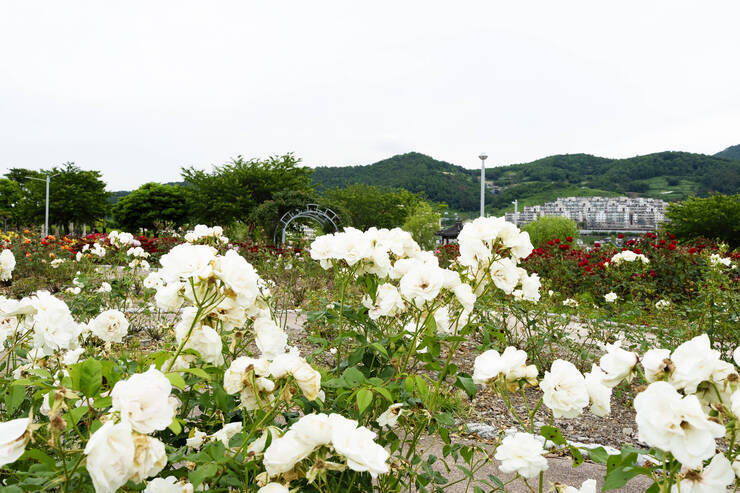 이순신공원_0001_DSC09081.ARW.jpg