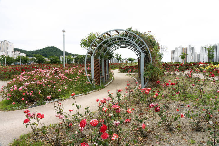 이순신공원_0005_DSC09112.ARW.jpg