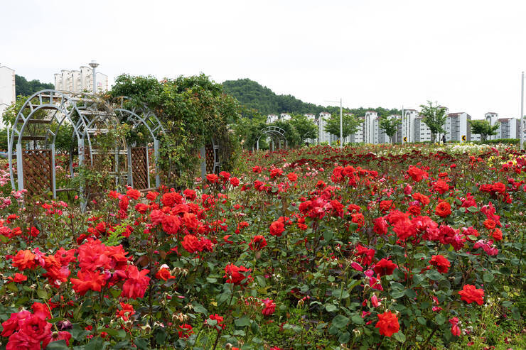 이순신공원_0006_DSC09115.ARW.jpg