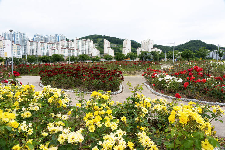 이순신공원_0008_DSC09125.ARW.jpg