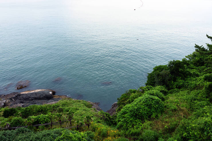 DSC01909 복사.jpg