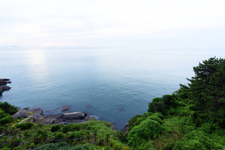 DSC01910 복사.jpg