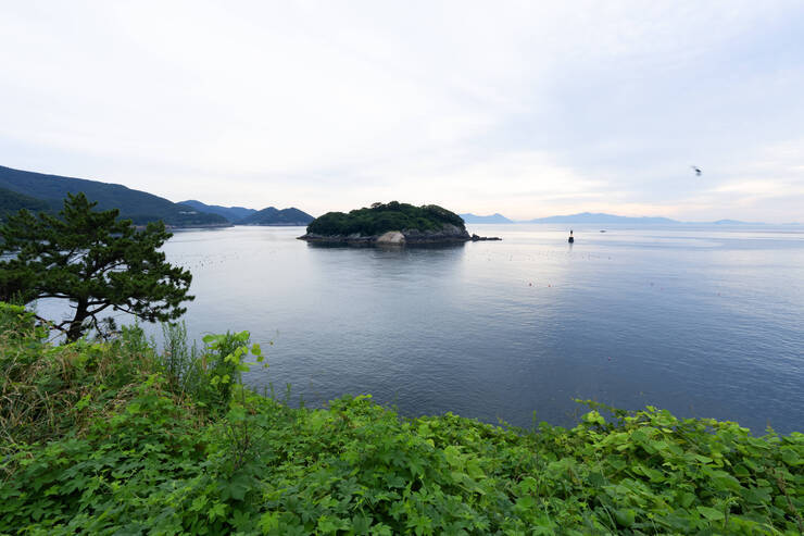 DSC01917 복사.jpg