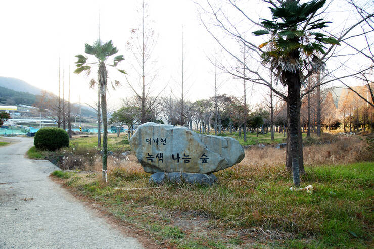 DSD_5192 복사.jpg