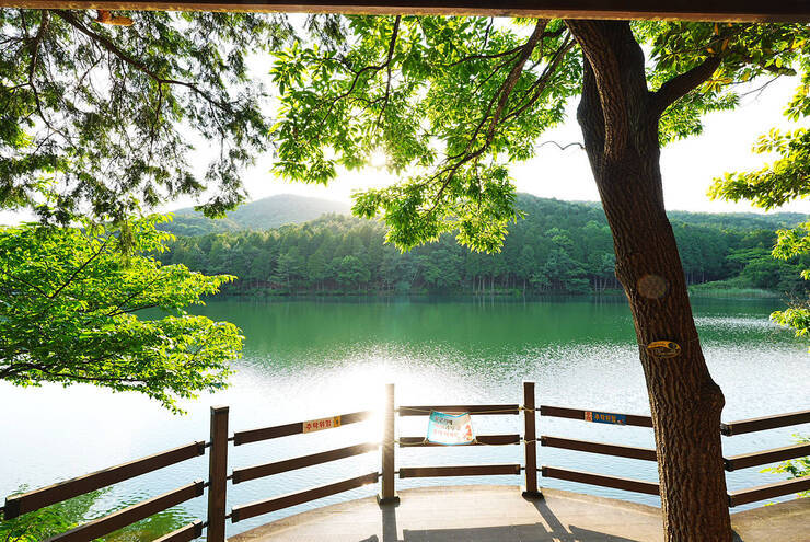 미평산림욕장_28.jpg