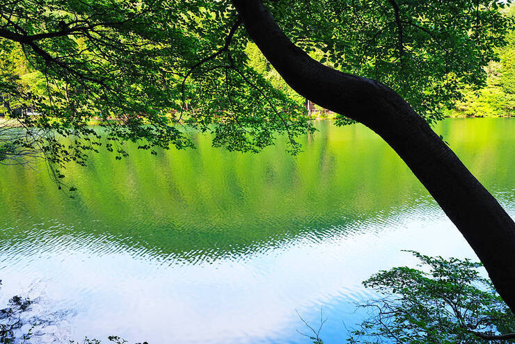 미평산림욕장_05.jpg
