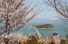 오동도의 1번째 이미지