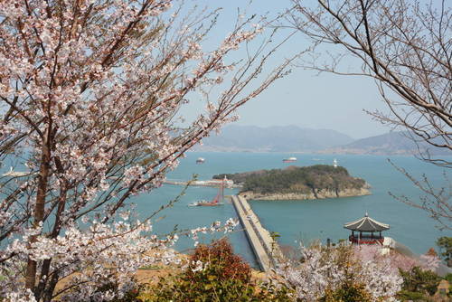 오동도의 1번째 이미지