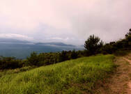 4박5일 여름 휴가 