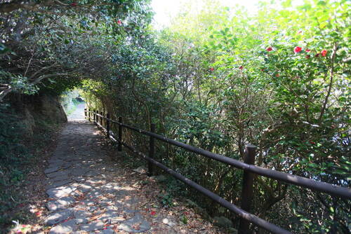 거문도 등대 가는 길의 2번째 이미지