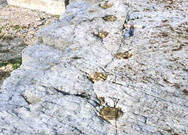 낭도 공룡발자국 화석지