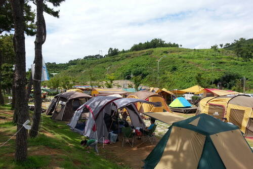 웅천친수공원야영장의 1번째 이미지