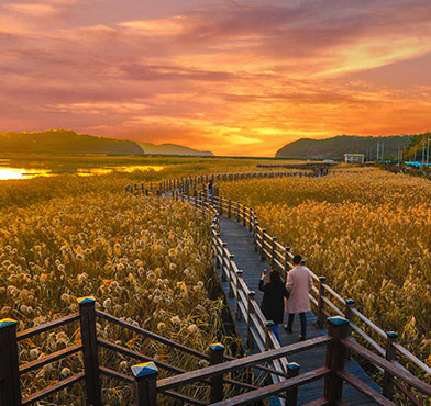 가사리생태공원