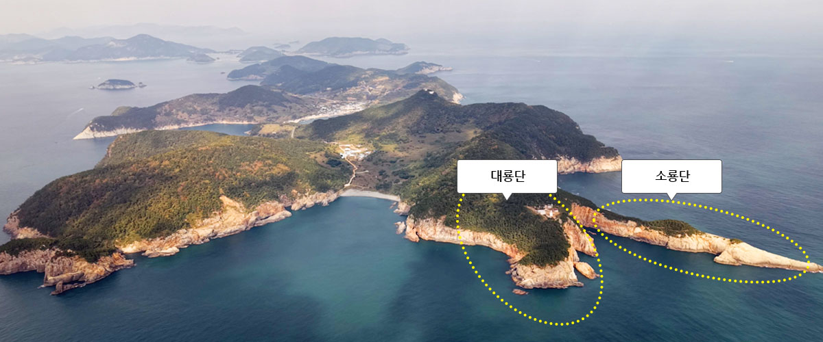 대룡단, 소룡단 표시