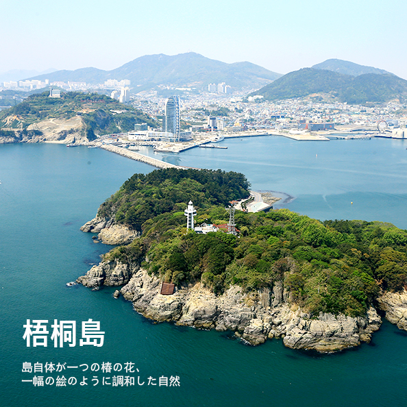 島自体が一つの椿の花、一幅の絵のように調和した自然