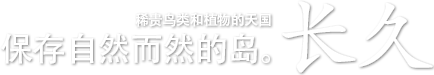 稀贵鸟类和植物的天国,长久保存自然而然的岛。