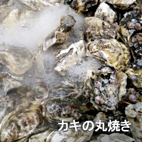 カキの丸焼き
