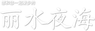 想和您一起漫步的丽水夜海